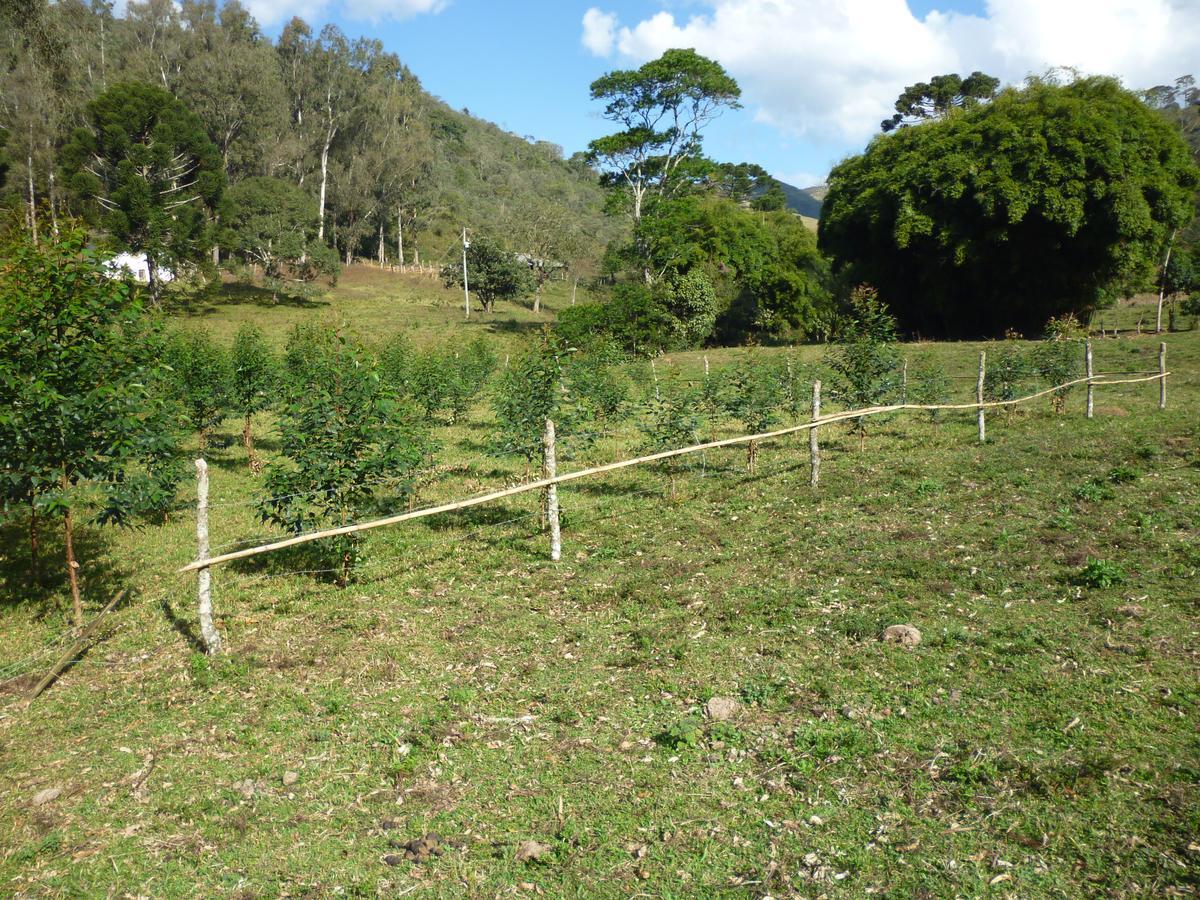 Casa De Campo Rustica Em Fazenda Usina Bocaina de Minas Dış mekan fotoğraf