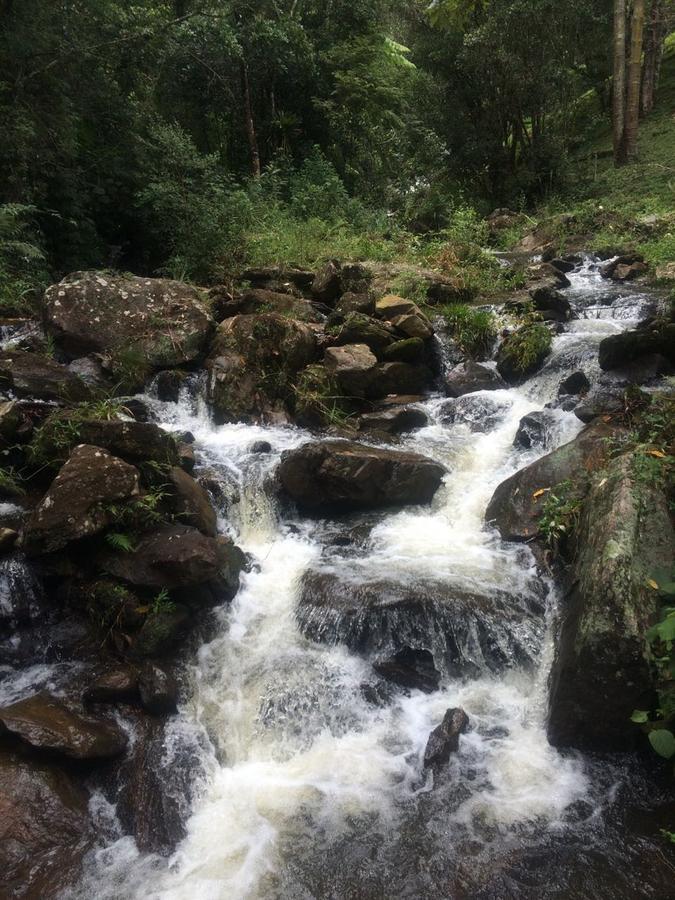 Casa De Campo Rustica Em Fazenda Usina Bocaina de Minas Dış mekan fotoğraf