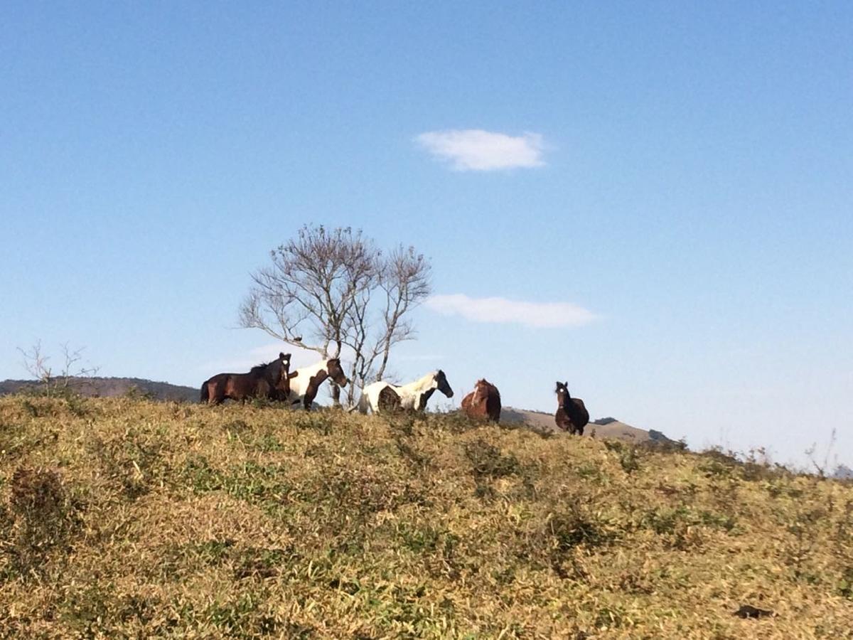 Casa De Campo Rustica Em Fazenda Usina Bocaina de Minas Dış mekan fotoğraf