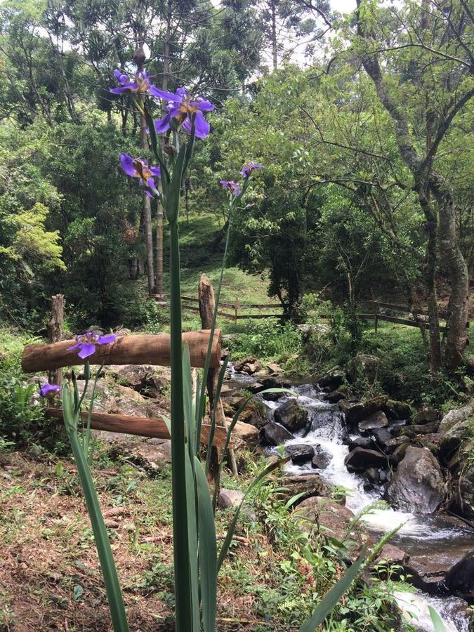Casa De Campo Rustica Em Fazenda Usina Bocaina de Minas Dış mekan fotoğraf